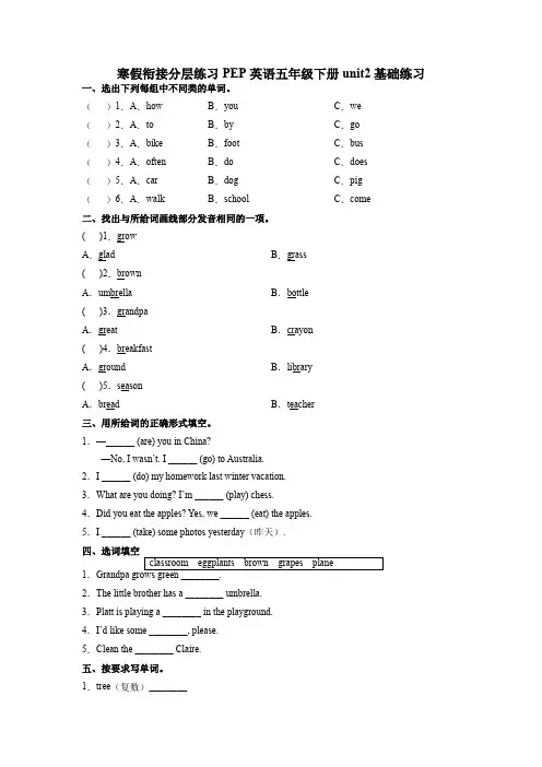 人教PEP版英语五年级下册 Unit 2 基础练习 (含答案)