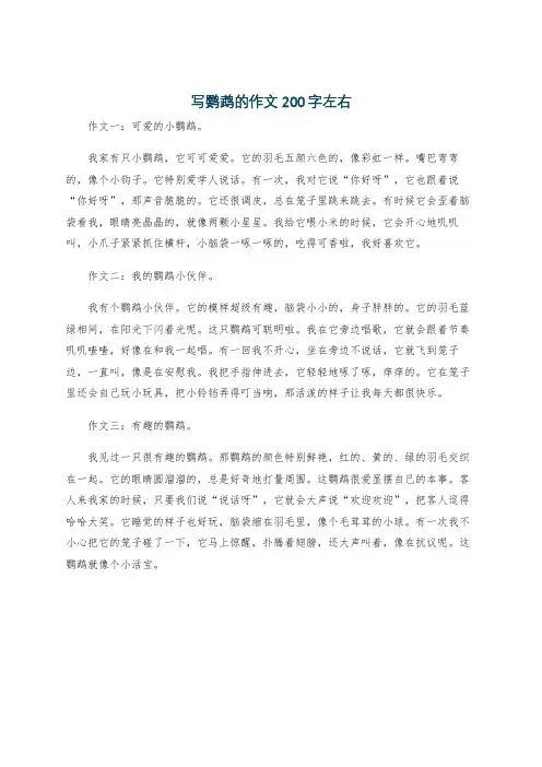 写鹦鹉的作文200字左右