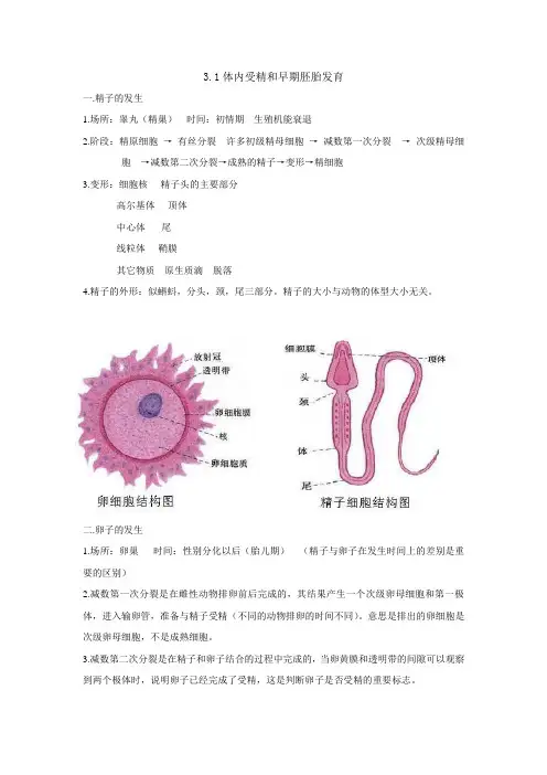 人教高中生物选修三第三章知识点总结