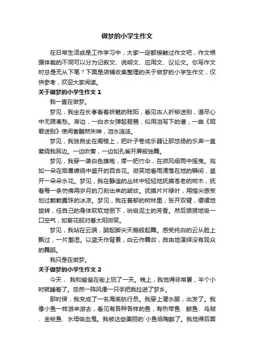 做梦的小学生作文