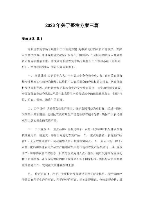2023年关于整治方案三篇