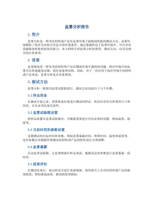 盐雾分析报告