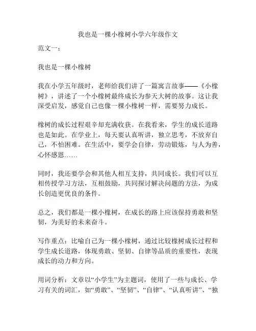我也是一棵小橡树小学六年级作文