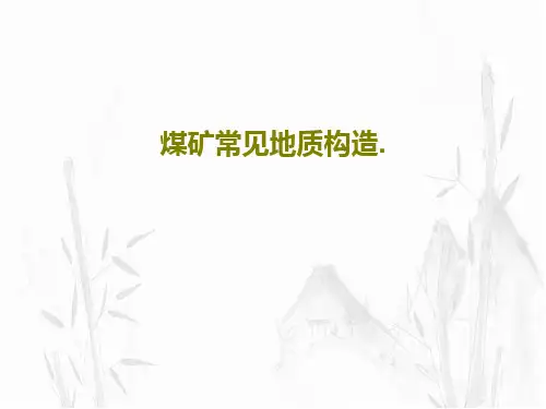 煤矿常见地质构造.54页PPT