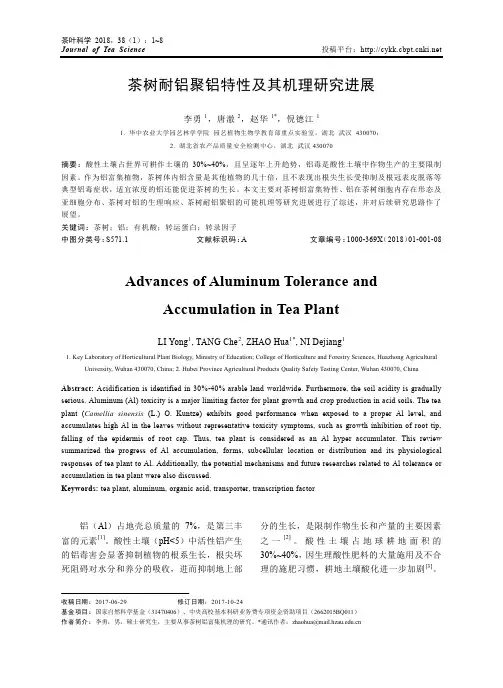 茶树耐铝聚铝特性及其机理研究进展