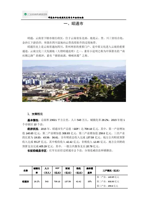 长征沿线地区特色文产资料——昭通市