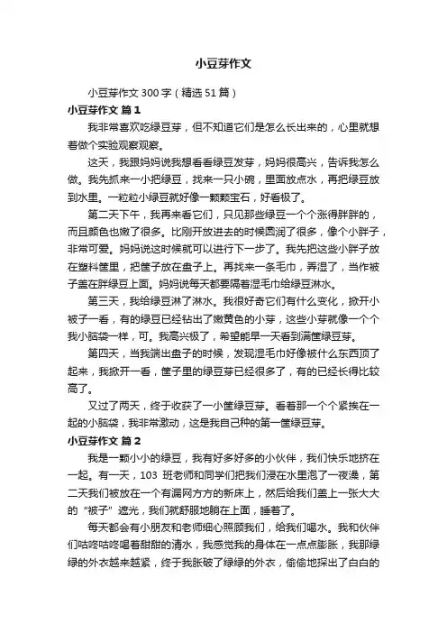 小豆芽作文300字（精选51篇）