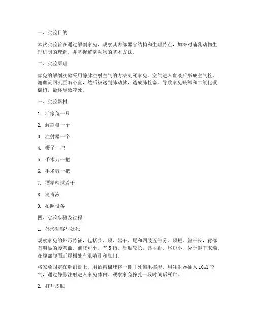 家兔解剖实验报告简洁