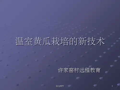 《温室黄瓜栽培的新》PPT课件