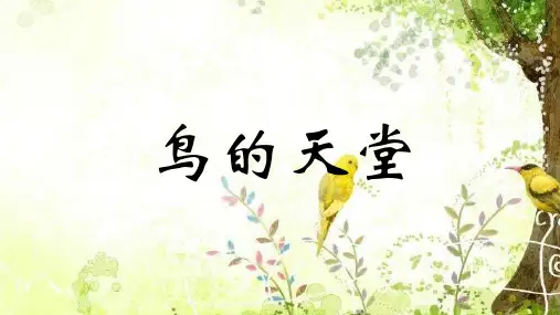 新部编版五年级语文上册《鸟的天堂》精品优质公开课课件
