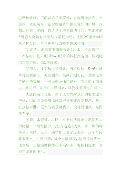 羽衣甘蓝的种植技术