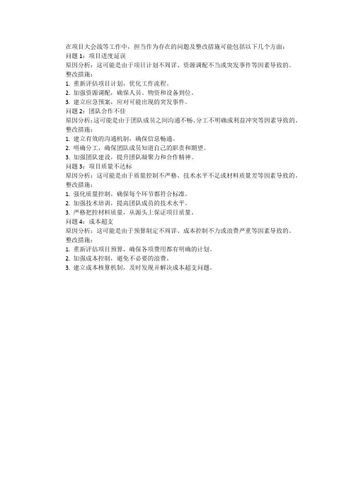 项目大会战等工作中担当作为存在的问题及整改措施。