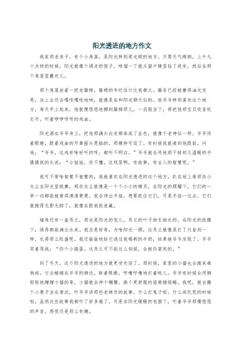 阳光透进的地方作文