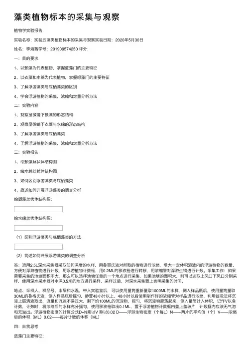 藻类植物标本的采集与观察