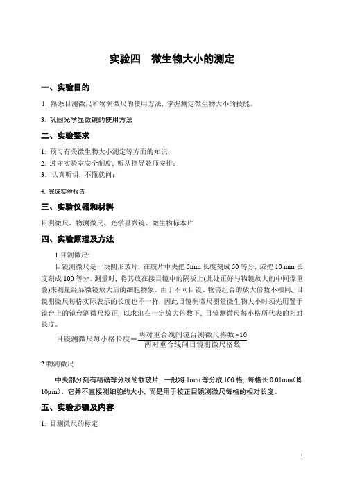 微生物大小的测定-实验四