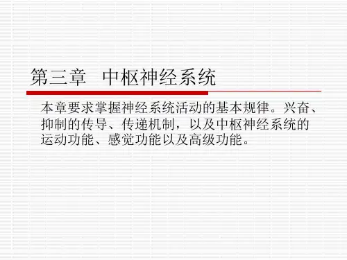中枢神经系统(1).ppt