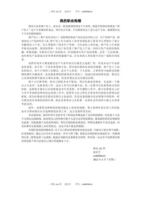 我的职业构想