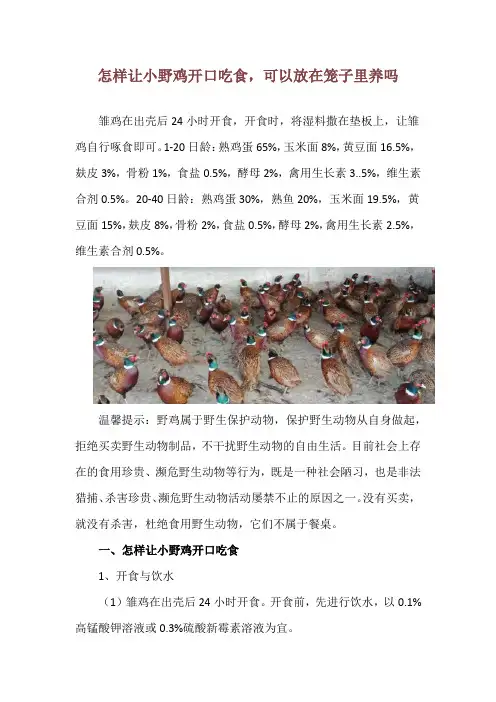 怎样让小野鸡开口吃食,可以放在笼子里养吗