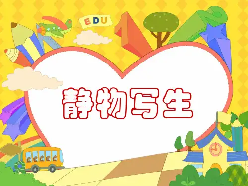 五年级美术下册课件-第5课 静物写生(4)-人教版