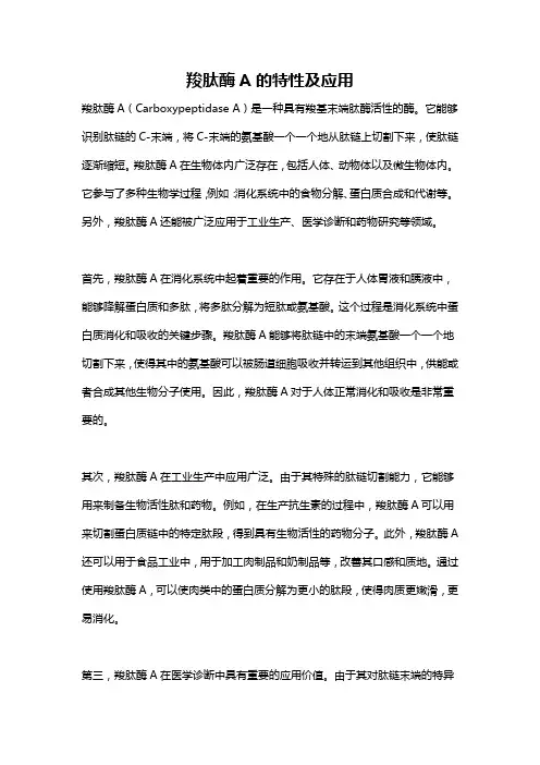 羧肽酶A的特性及应用