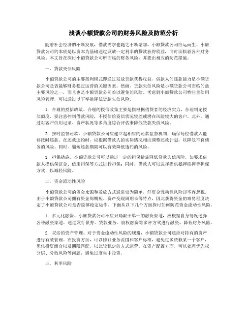 浅谈小额贷款公司的财务风险及防范分析