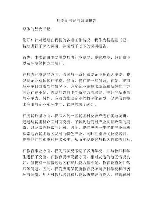 县委副书记的调研报告
