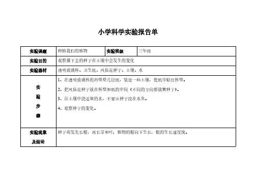 小学科学实验报告单