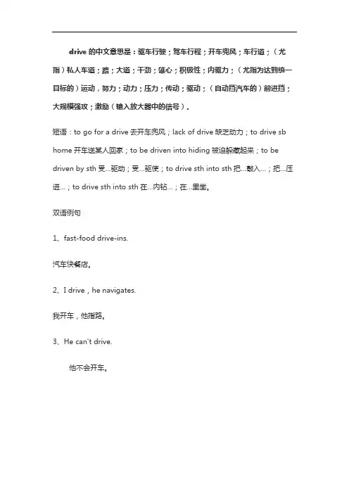 drive中文翻译