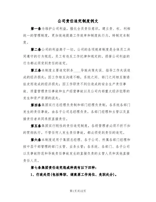 公司责任追究制度例文（2篇）