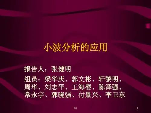 小波分析的应用课件