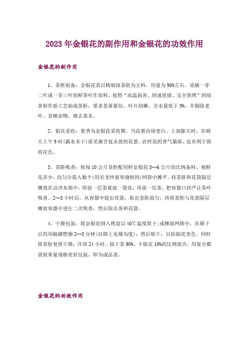2023年金银花的副作用和金银花的功效作用