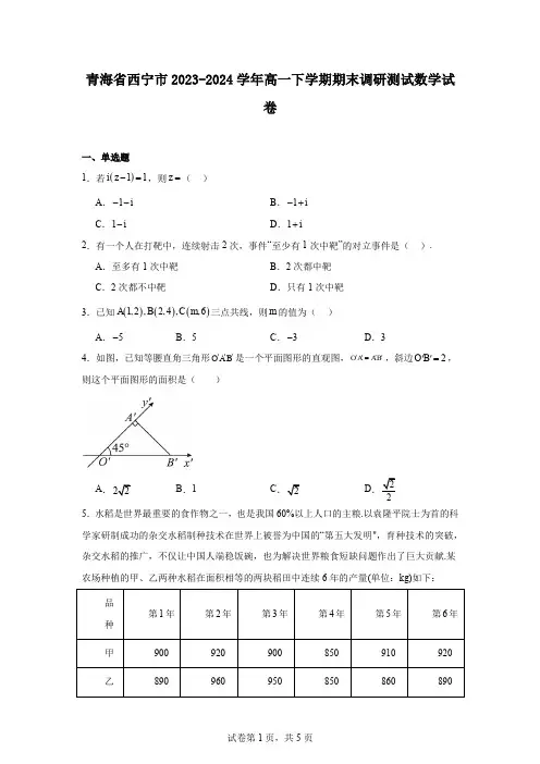 青海省西宁市2023-2024学年高一下学期期末调研测试数学试卷