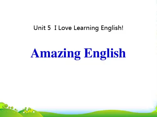 新版英语Lesson 27 Amazing English-课件