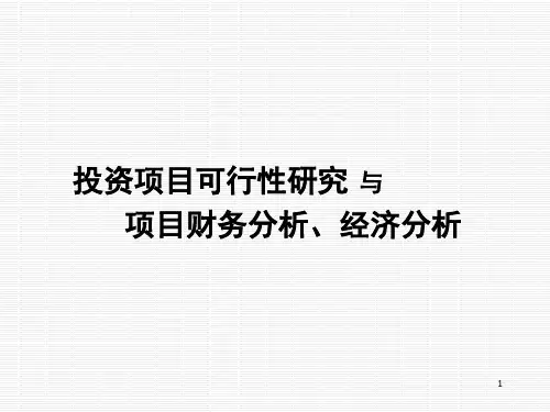 财务分析-投资项目可行性研究与项目财务分析、经济分析 精品