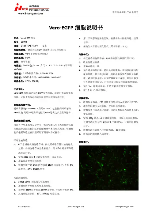 Vero-EGFP 细胞说明书
