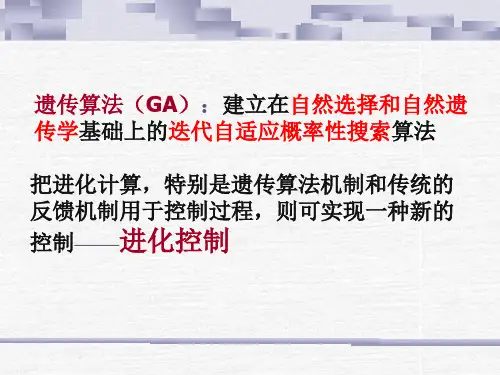 第8章进化算法ppt课件