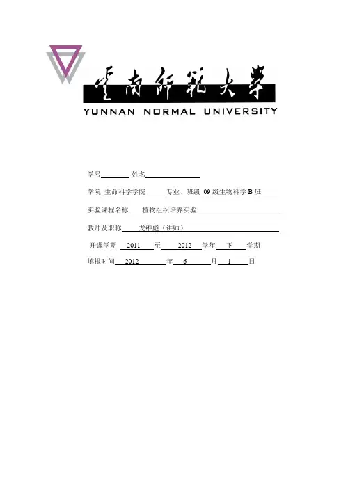 胡萝卜愈伤组织的诱导培养