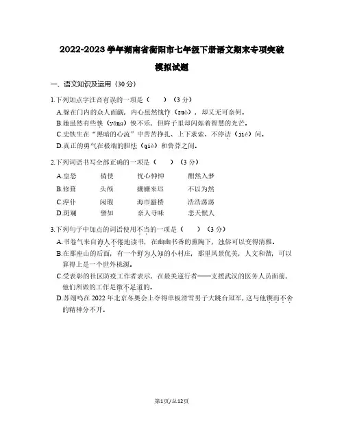 2022-2023学年湖南省衡阳市七年级下册语文期末专项突破模拟试题(含解析)