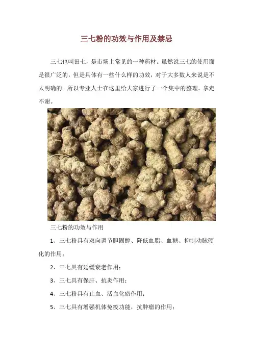 三七粉的功效与作用及禁忌