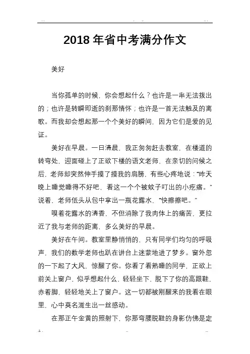 2018年浙江省中考满分作文