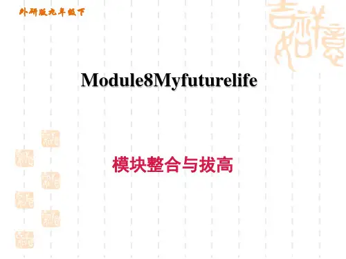 外研版九年级下册英语Module 8 模块整合与拔高