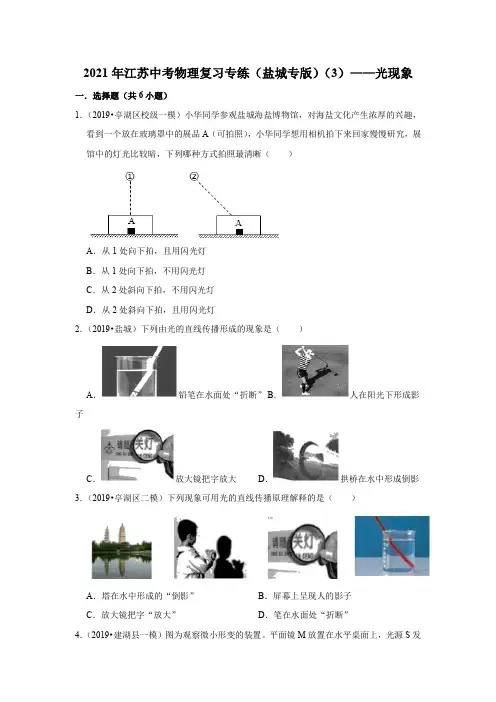 2021年江苏中考物理复习专练(盐城专版)(3)——光现象