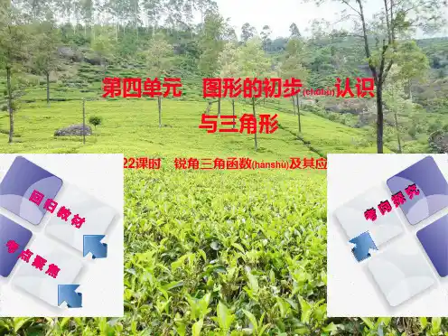 中考数学复习第4单元图形的初步认识与三角形第22课时锐角三角函数及其应用