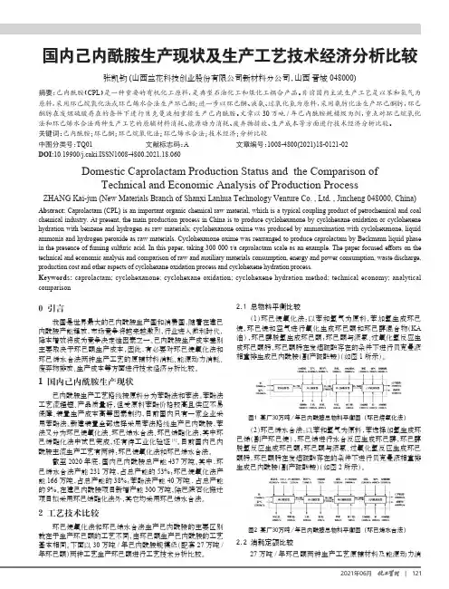 国内己内酰胺生产现状及生产工艺技术经济分析比较