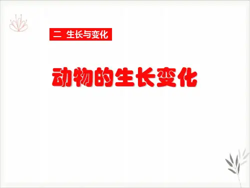 动物的生长变化生长与变化课件PPT