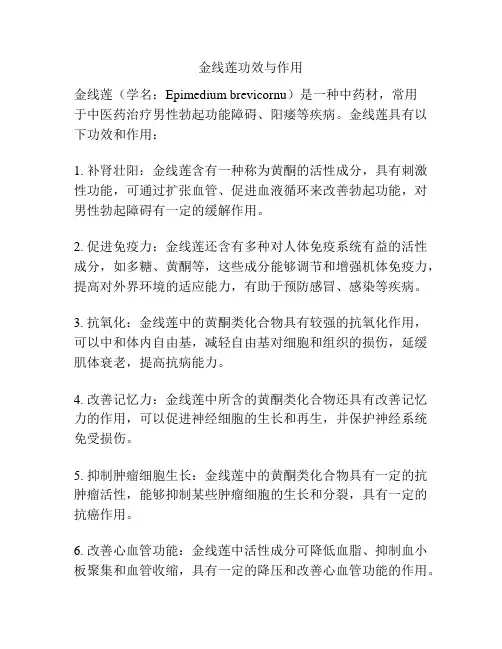 金线莲功效与作用