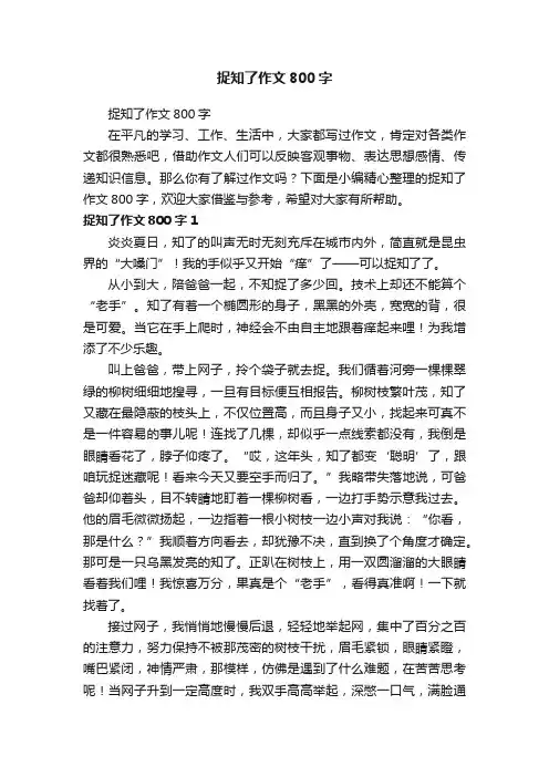 捉知了作文800字