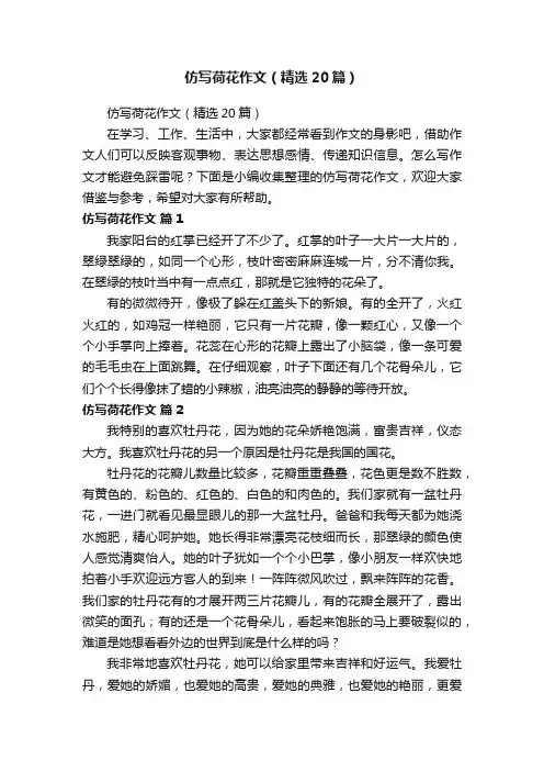 仿写荷花作文（精选20篇）