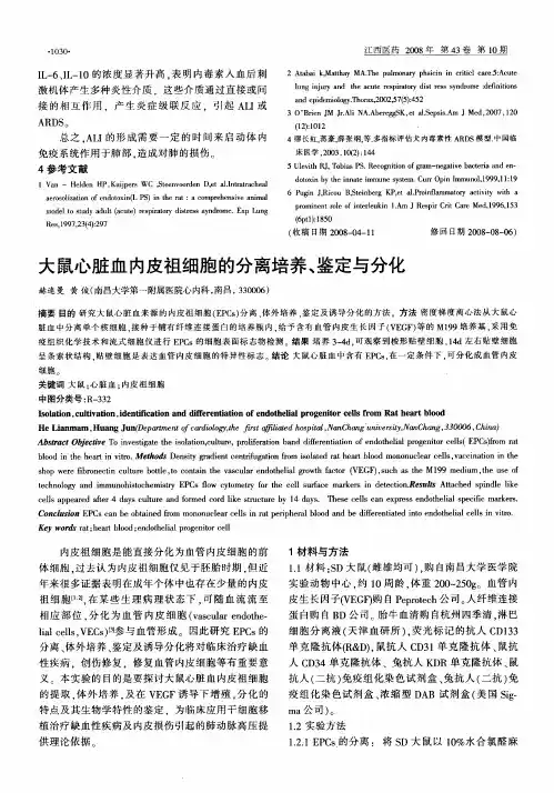 大鼠心脏血内皮祖细胞的分离培养、鉴定与分化