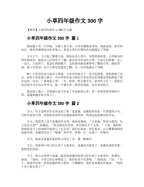 小草四年级作文300字
